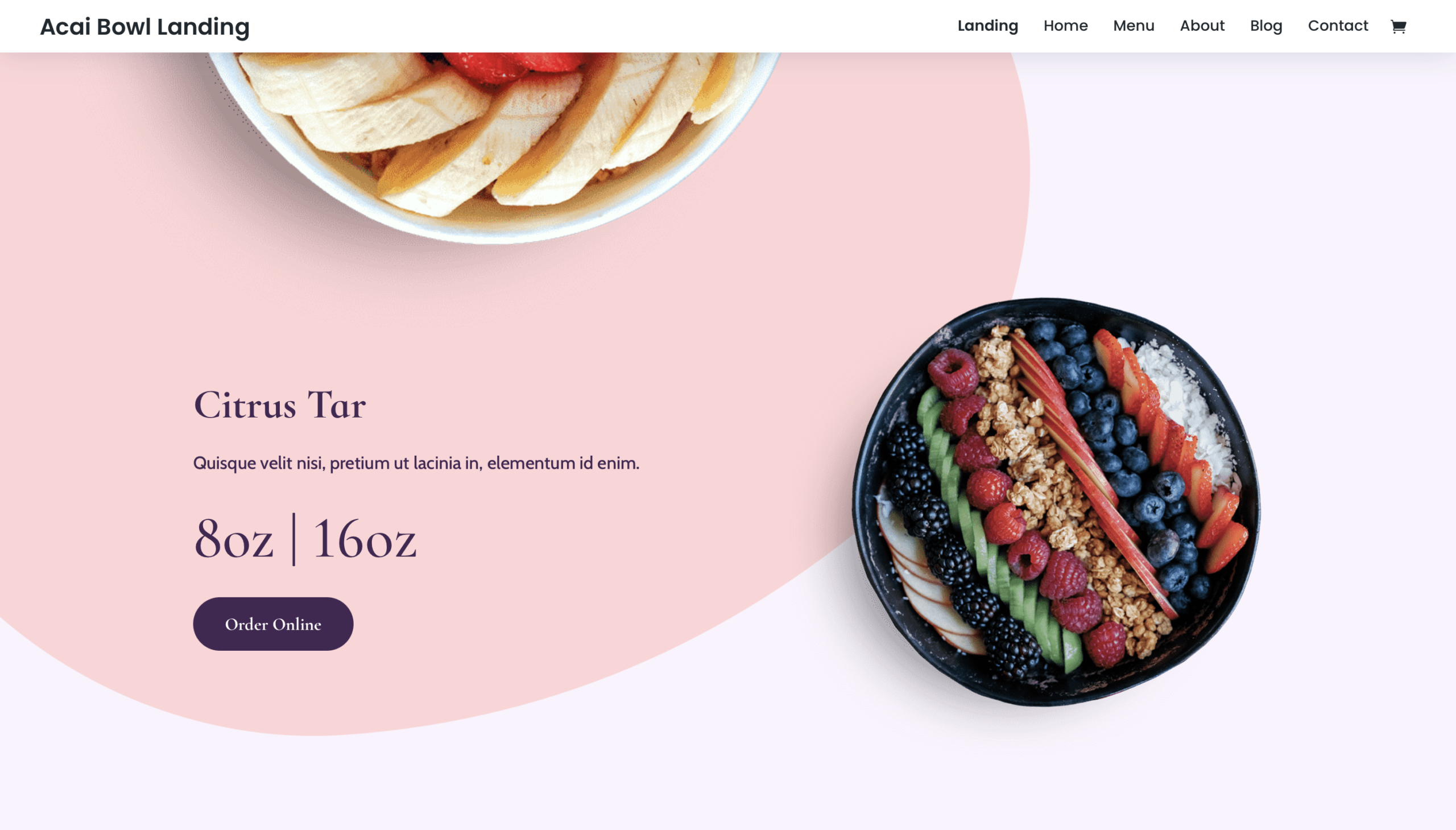 Project 2 screenshot 2